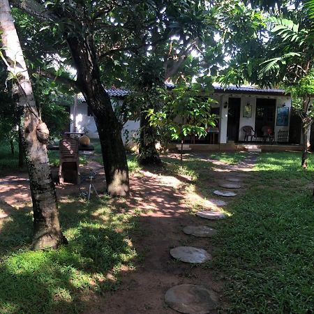 Sylvester Villa Hostel ネゴンボ エクステリア 写真