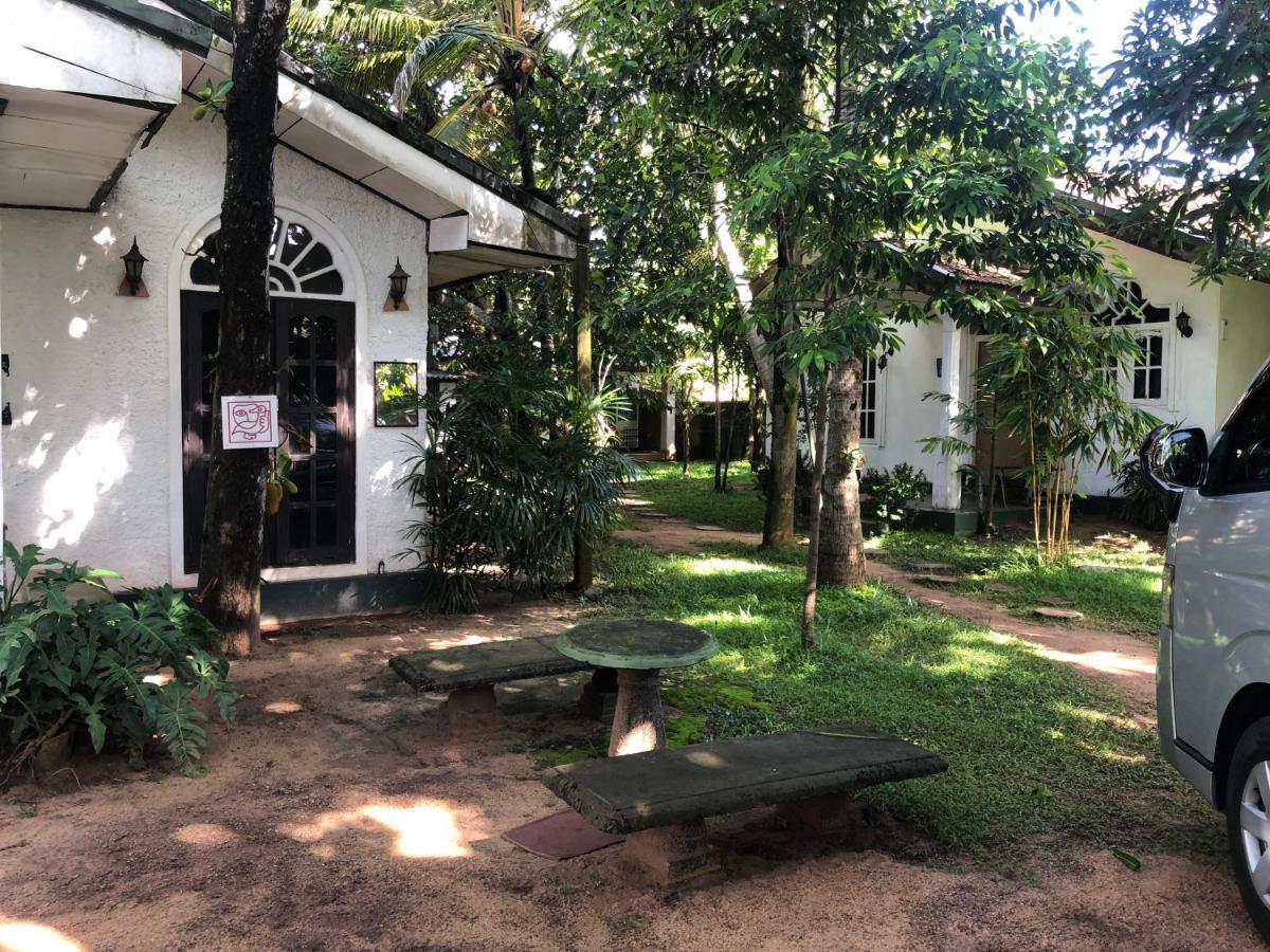 Sylvester Villa Hostel ネゴンボ エクステリア 写真