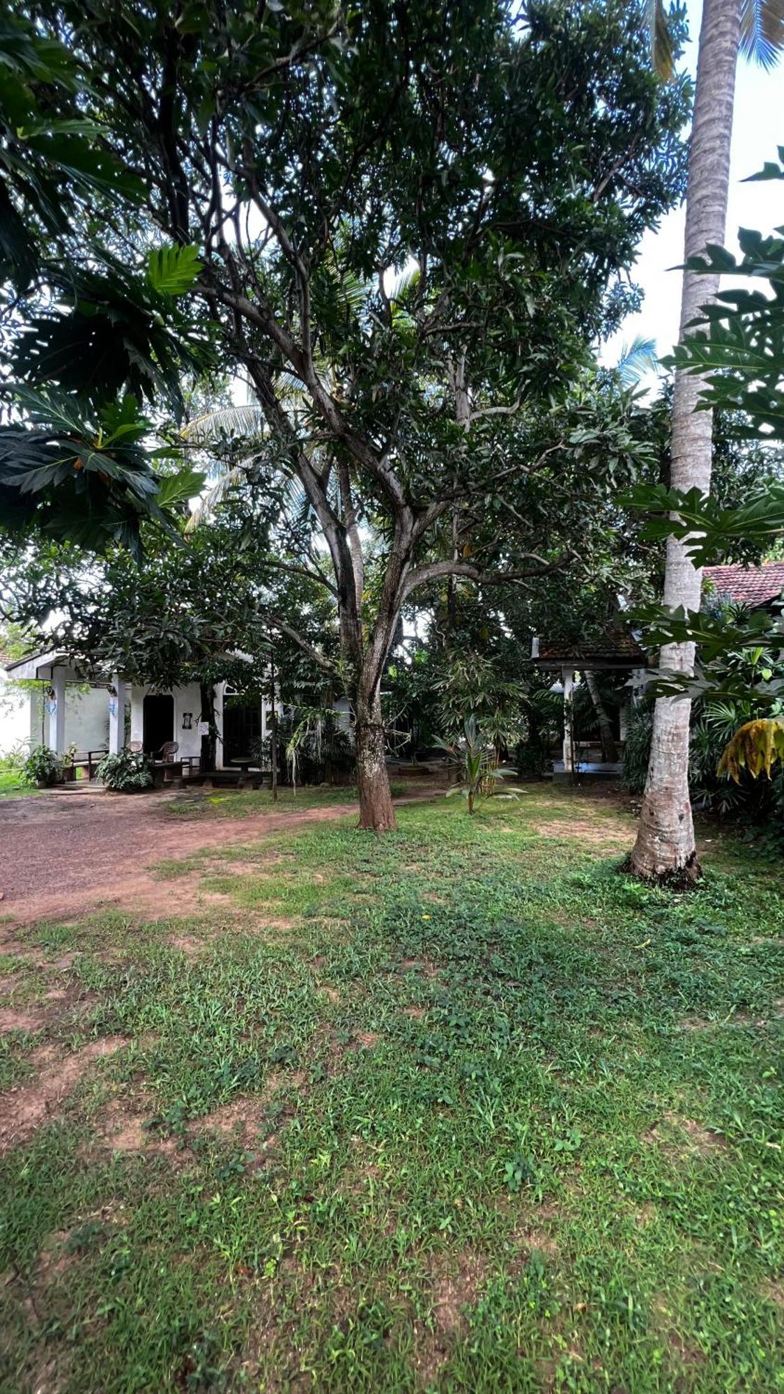 Sylvester Villa Hostel ネゴンボ エクステリア 写真
