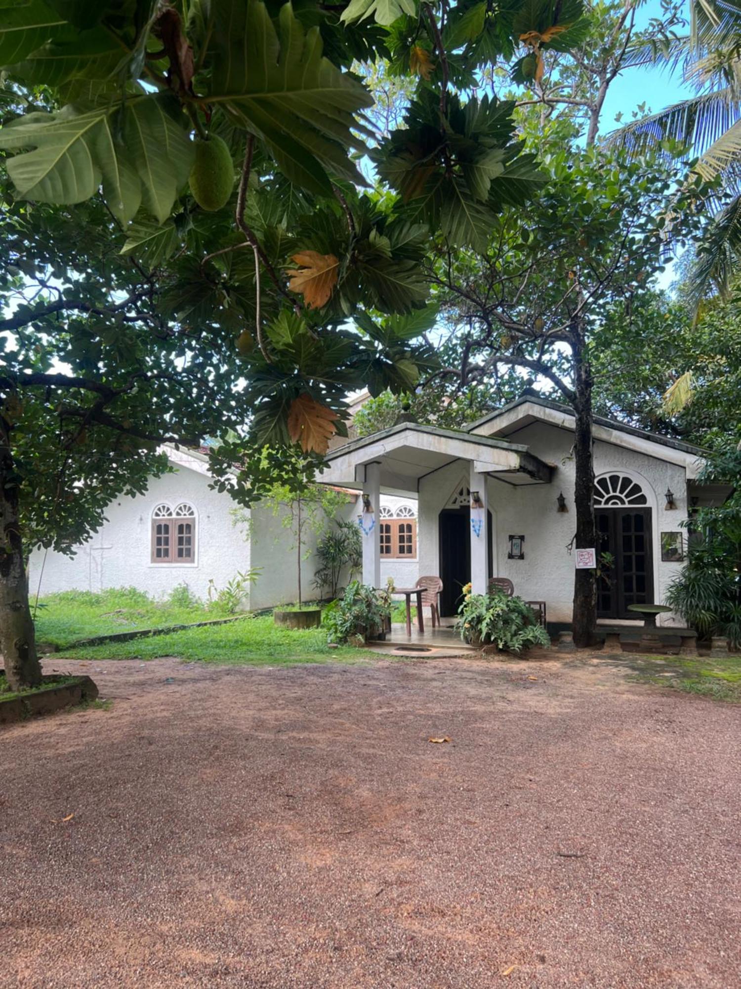 Sylvester Villa Hostel ネゴンボ エクステリア 写真